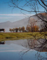 Утренняя тишина