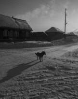 Перекрёсток