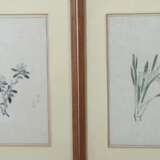 7 florale Holzschnitte Japan, 20. Jh. - Foto 3