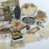 Umfangreiche Sammlung Versteinerungen vielfältiges Konvolut best. aus variierenden Versteinerungen, Mineralien und Ausgrabungen: Aquamarin - фото 4