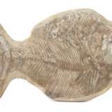 Fischversteinerung aus der Kreidezeit, konforme Form mit inliegendem Fossil - Foto 1