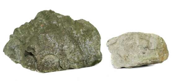 Paar Versteinerungen Holzmaden, ca. 180 Mio. Jahre alt - Foto 1