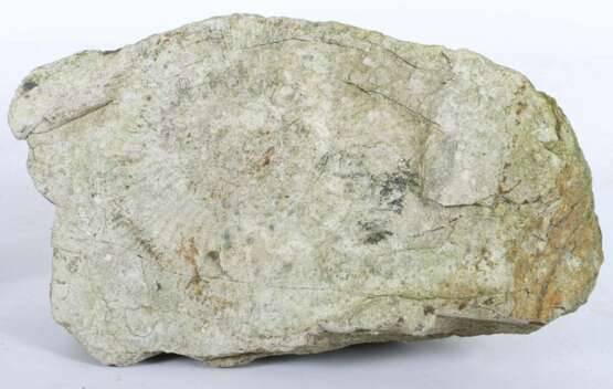 Paar Versteinerungen Holzmaden, ca. 180 Mio. Jahre alt - Foto 3