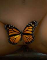 BEEPLE (B. 1981) & MADONNA (B. 1958)