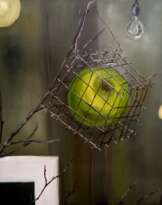 Запретный плод