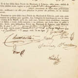 Interessantes Dokument zur Leibrente, Frankreich 18. Jahrhundert - - фото 4