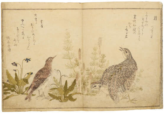 KITAGAWA UTAMARO (1754-1806) - Foto 5
