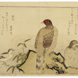 KITAGAWA UTAMARO (1754-1806) - фото 19