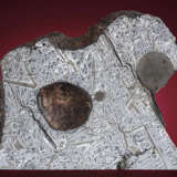 TAMBO QUEMADO — PARTIAL SLICE OF A STORIED IRON METEORITE, ETCHED ON BOTH SIDES - photo 1