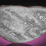 NWA 12767 — COMPLETE SLICE OF A SINGULAR METEORITE FROM THE CORE OF A PREVIOUSLY UNKNOWN ASTEROID - Foto 1