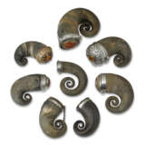 EIGHT VICTORIAN SCOTTISH SILVER AND GEM-MOUNTED HORN SNUFF MULLS - Foto 1