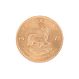 3 x South Africa/GOLD - 1 Krugerrand 1975/1977 (2x), vz-, - photo 4