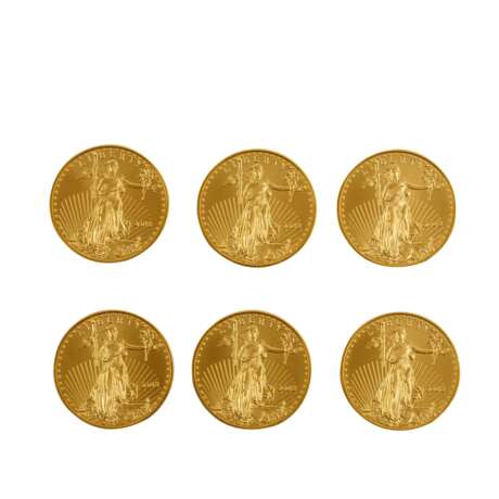 6 x USA/GOLD - 50 Dollars 2008, American Eagle, - Foto 1