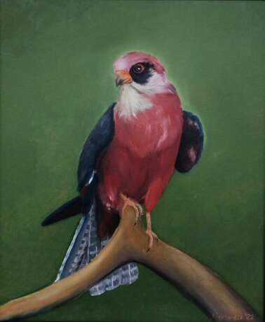 Red-footed falcon Oil paint Realism painting nature Byelorussia 2022 - photo 1