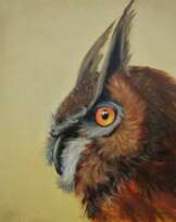 eagle-owl eagle-owl