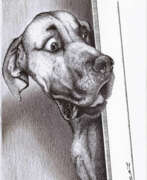 Impression photo. "Dog is surprised..."