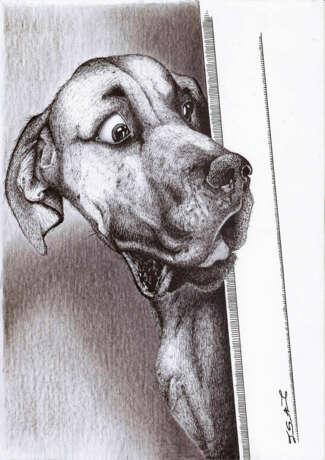 "Dog is surprised..." Фотобумага Фотопечать анимализм портрет животных Украина 2023 г. - фото 1