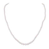 Fine pearl necklace, - фото 1