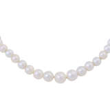 Fine pearl necklace, - фото 2