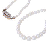 Fine pearl necklace, - фото 4