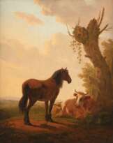 Strij, Jacob van