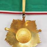 Italien: Orden des Sterns der Italienischen Solidarität, 2. Modell (1948-2001), 2. Klasse. - фото 3