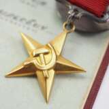 Sowjetunion: Held der sozialistischen Arbeit, mit Verleihungsbuch. - photo 2
