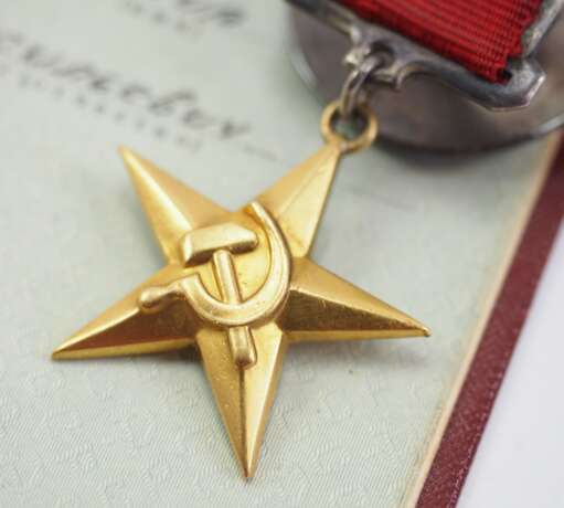 Sowjetunion: Held der sozialistischen Arbeit, mit Verleihungsbuch. - фото 2