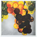 KNEFFEL, KARIN (b. 1957), "Grapes," 2005, - photo 1