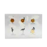 FRG - 4 x 20 Euro, motif native birds, GOLD, - фото 3
