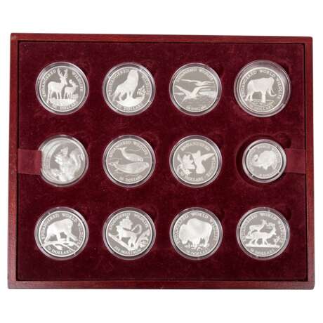 Endangered Wildlife - Superb collection of over 100 silver coins, ex 1991/96, - Foto 6