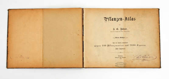 Hübner, J.G.: "Pflanzen-Atlas". - фото 1