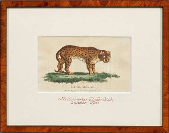 "Jaguar (/) Leopard". Originaltitel - Foto 1