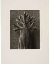 KARL BLOSSFELDT (1865-1932)