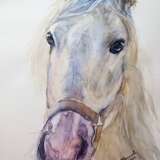 "Лошадь с розовым носом" акварель бумага Watercolor Animalistic St. Petersburg 2022 - photo 1