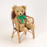 Abgeliebter Teddy, Petz. - фото 1