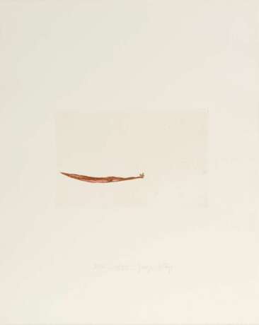 Joseph Beuys (Kleve 1921 - Düsseldorf 1986). Meerengel die Seegurke. - Foto 1