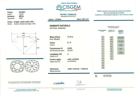 Round ct. 11.74 diamond bi-coloured… - Foto 3