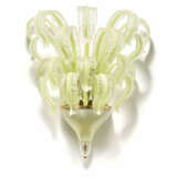 Pair of large wall lamps with feather leaves - Foto 3