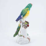 Large parrot on trunk - photo 4