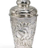 Lidded beaker with rocaille cartouches and birds - photo 1