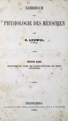 Ludwig , C,