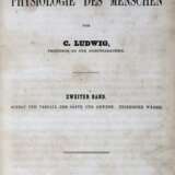 Ludwig , C, - Foto 2