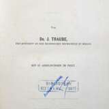 Traube , I, - Foto 2