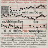 Psalterium Chorale - Foto 2