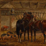 DUNINGTON, AlberTiefe: Pferde und Schweine im Stall. - Foto 1
