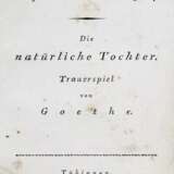 Taschenbuch - Foto 2