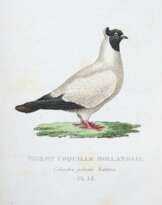 Boitard , (P, ) u, M, Corbier,