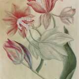 Tulpen, - Foto 1