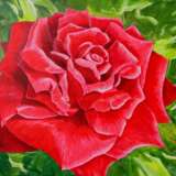 „Rote rose - das emblem der Liebe“ Leinwand Acrylfarbe Realismus Stillleben 2018 - Foto 1